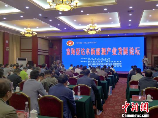 世界最大循环经济园区新能源产业发展论坛会议现场。孙睿　摄
