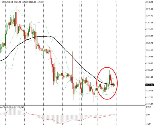 加息降温股市回暖,美元回落油价舒缓